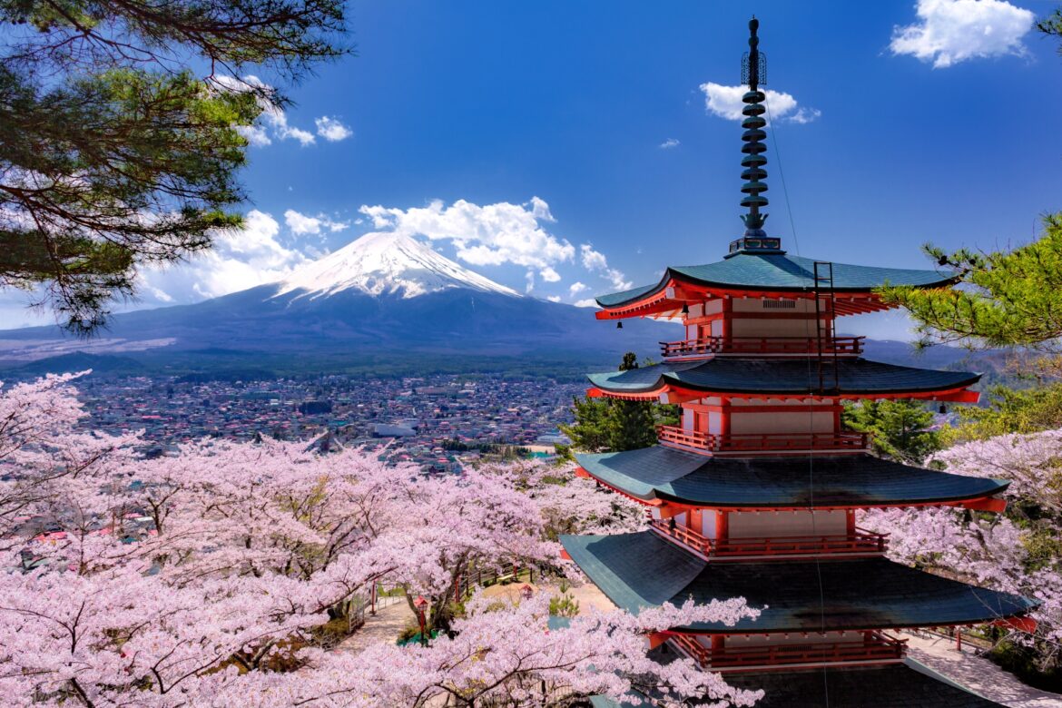 Cherry Blossom Season in Japan | Best Hanami Spots and Tours