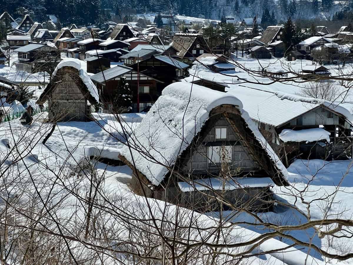 A high-angle view looking down on a massive thatched gassho-zukuri roof during a day trip from Kanazawa to Shirakawa-go.