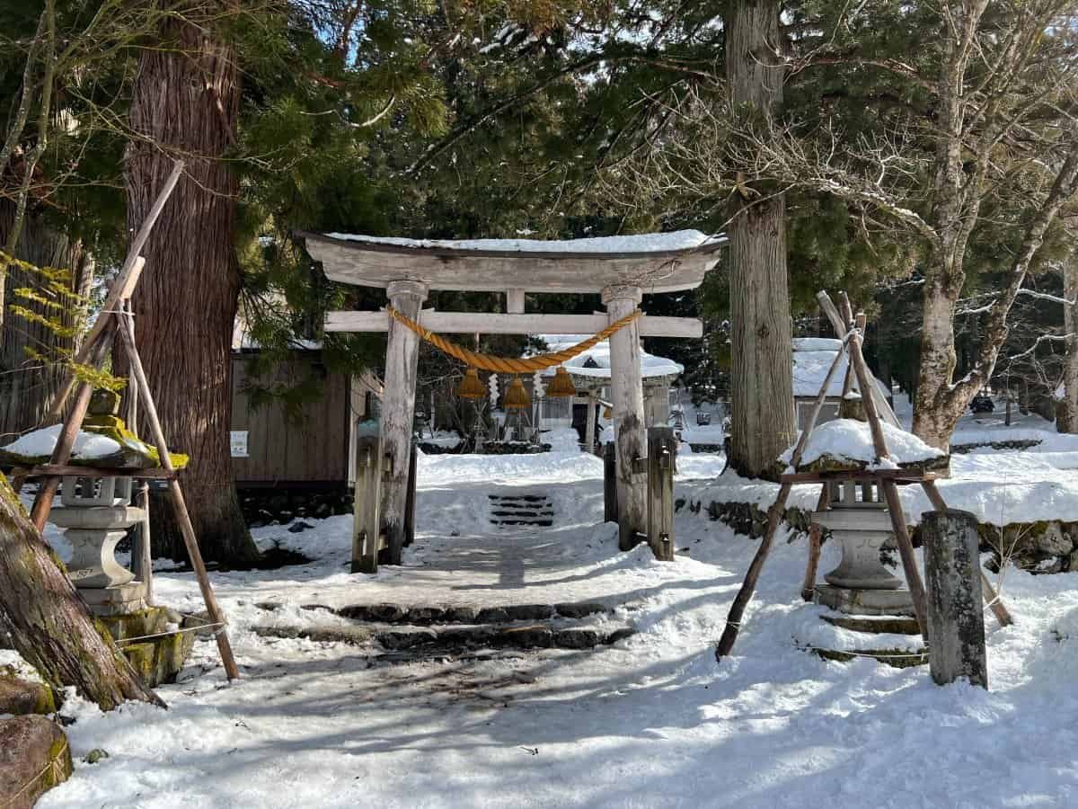 The peaceful entrance and main wooden hall of the historic Shirakawa Hachiman Shrine surrounded by cedar trees.