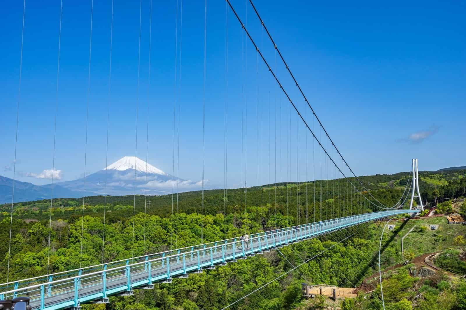 Views of the mountain from Mishima Skywalk